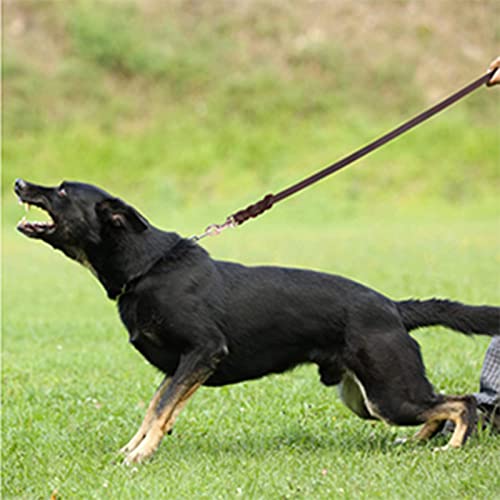 1.6m Fettlederleine Hund, Dunkelbraun Rindsleder Hundeleine Leder, Geflochtene Lederleine Hund für Große Mittelgroße Hunde, Outdoor Gehen Training