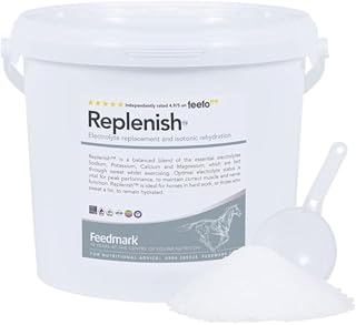Replenish™ Electrolyte Supplement for Horses | Daily Electrolyte Replacement & Isotonic Rehydration | 6kg (120 Days Supply) | Restores Fluid Balance, Supports Performance