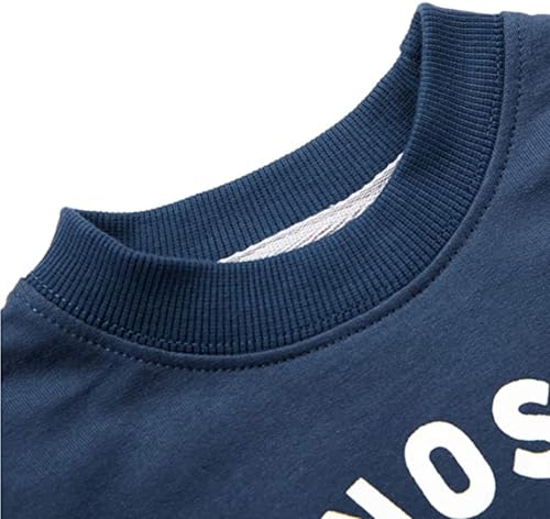 Image of Popshion Toddler Boys Sweatshirts Dinosaur Long Sleeve Pullover Crewneck Shirts Cartoon Tee Sport Tops for Kids 1-8T