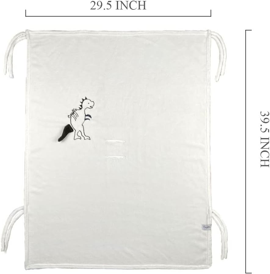 CozyMe Stroller Blanket