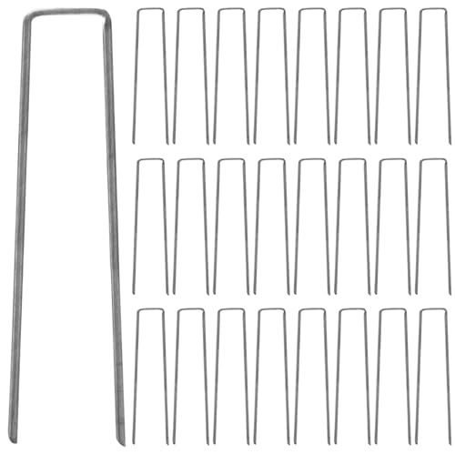 WRITWAA 60̊ȃLvpYFU^̃egY - tFXlbgsAŐoAnŒpOEhXpCNAtFXOhJo[