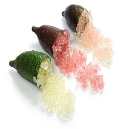 20pcs Mixed Finger Lime Fruit Seeds