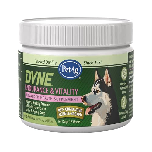 PetAg Dyne Soft Chews, Endurance & Vitality Supplement - Vet-Formulated for Aging & Active Dogs - Fuels Performance, Stamina & Recovery - 60 Chicken Liver Flavor Chews