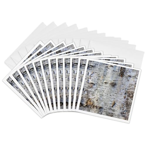Cartes de vœux écorce de bouleau 3dRose Gc_281867_2 au fini mat élégant 15 cm