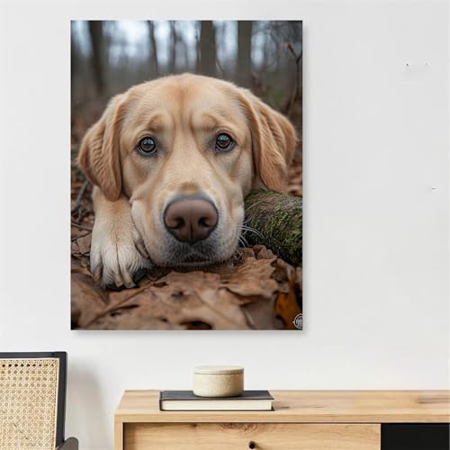 Peinture par numéro adulte chien pour créer votre décoration murale de salon chaleureuse