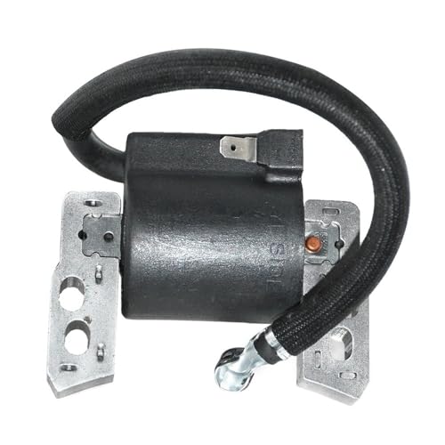 Bobine d'allumage pour moteurs 695711 802574 493237 pièces de rechange motoculture