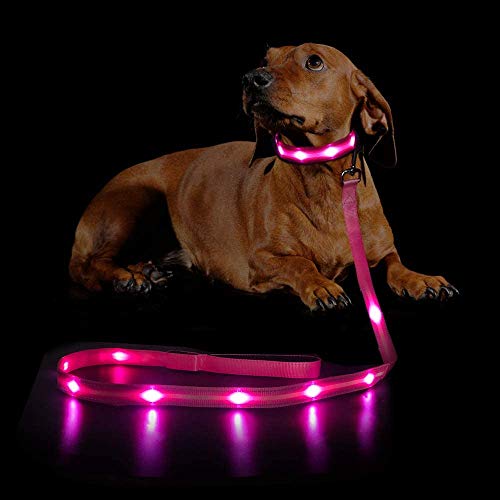 MASBRILL LED Dog Leash, Light Up Pet Lead for Small Medium Large Dogs, USB Rechargeable & Waterproof, 4 Feet, Available in 5 Colors, Keep Your Pet Safety at Night