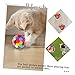 POPETPOP 3Pcs Cat Ball Soft Chew Balls for Indoor Cats Interactive Play and Exercise for Reducing Stress and Strengthening Bond with Pets
