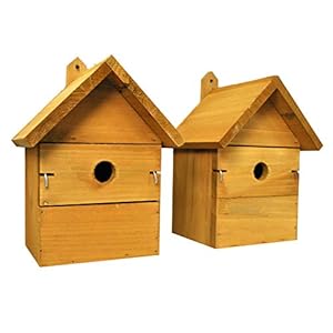 Selections Wooden Birdhouse Garden Nest Boxes with Interchangeable Hole Sizes (Pack of 2)