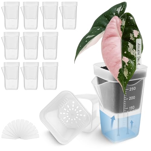 Vandorelle 12-Pack Mini Self-Watering Pots