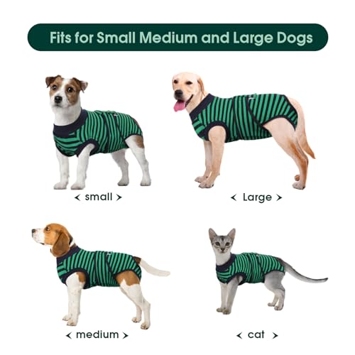 Combinaison de récupération chiens chats pour stopper le léchage des plaies abdominales