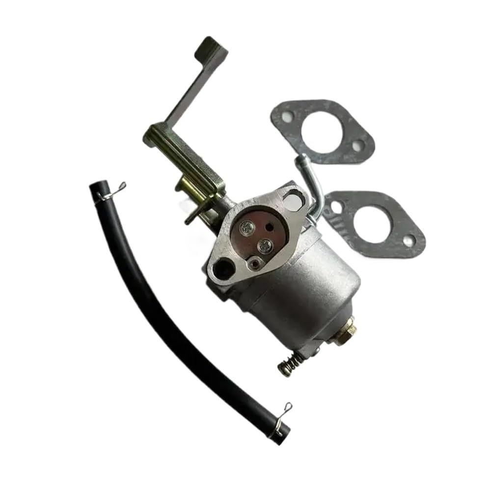 Carburateur pour 79CC évite les fuites d'essence moteur 99CC 69747 2.5HP