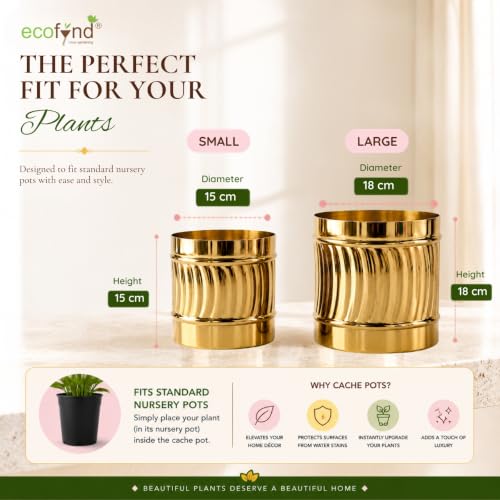 Image of ecofynd 2 Pack Metal Plant Pots (6 inch, 7 inch L), Indoor Small Planter Flower Pots, Home Garden Decor Planter for Living Room Bedroom Interior (Gold Finish, POT050)