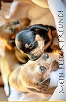 Mein Bester Freund! : In Diesem Fotobuch K?nnen 52 Fotos, Also F?r Jede Woche Eines Jahres Eingeklebt Werden. Es Ist Im Querformat 21,59 X 13,97 Cm (5,5 X 8,5 Zoll). das Fotoalbum Ist Perfekt F?r Schw 1658387872 Book Cover