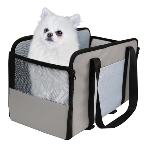 Correas Perros Pequeños Pomeranias Marca Lunaobrik