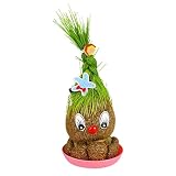 Fun-Filled Decor: Transform your space with the Grasss Head Doll Plant. Growing with water, this lovable plant bring good mood and fun. Plus, it helps relieve eye fatigue and adds a touch of joy to any corner.