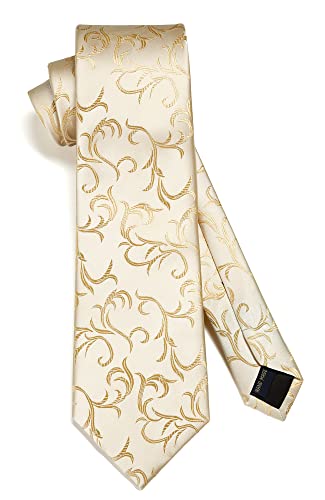 Image of HISDERN Ties for Men Paisley Floral Tie Handkerchief Classic Woven Business Formal Necktie and Pocket Square Set Wedding