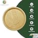 Charity Leaf Disposable Palm Leaf 14" Round Trays (10 pieces) Bamboo Like Serving Platters, Disposable Boards, Eco-Friendly Dinnerware For Weddings, Catering, Events 2