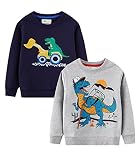 LOKTARC 2 Pack Toddler Boys Sweatshirts Patterned Long Sleeve Pullover Crewneck Tops Shirts Navy Din