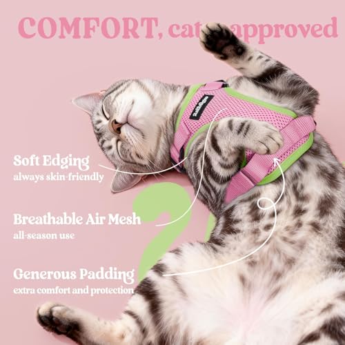 Image of rabbitgoo Cat Harness and Leash Set, Escape Proof Vest, Pink & Light Green