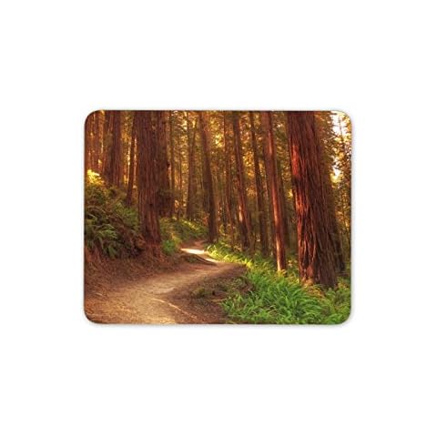 Destination Vinyl Redwood Tree Forest Mouse Mat Cover