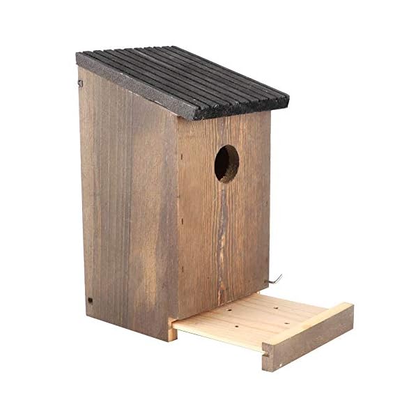 EVTSCAN Hängendes Holz Vogelhaus DIY Zucht Papageien Vogel Nistkasten für Outdoor Garten Dekor – Bild 7