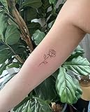 5X2Y Tattoo Tech, Long Lasting Temporary Tattoos, Last 1-2 Weeks, Waterproof, Semi Permanent Tattoo, Realistic look, No Adhesive, No reflection (Two Rose)