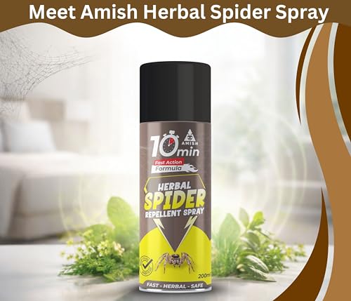 Image of Amish Aerosol Spider Spray 200 ML Pack of 1 Spider Organic Liquid Use for Home /Office 100% Effective in 10 Minutes Spider Repallent