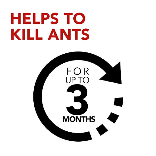 Raid Ant Killer Baits, For Household Use, Kills The Colony, Kills Ants For 3 Months, Child Resistant, 4 Count #TOP2
