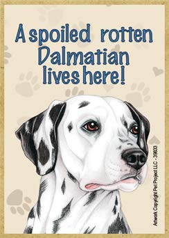 SJT ENTERPRISES, INC. A Spoiled Rotten Dalmatian Lives Here! �ؐ��①�ɗp�}�O�l�b�g - ���@ 6.32cm x 8.92cm x ����1/8�C���` (SJT39833)