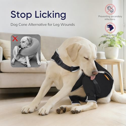Image of Dog Knee Brace