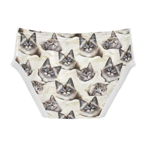 ODAWA Cute Kittens Cream Tag Free Cotton Underwear, Toddler Boy Underwear 2T2