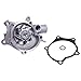 Svyoroo Water Pump 1232510 Compatible with Mitsubishi Engine 4G63 4G64 for Clark Forklift CGC20/25/30 CGP20/25 GCX20