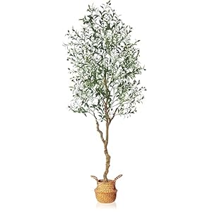 MOSADE Artificial Olive Tree 7 Feet Fake Olive Silk Plant and Handmade Seagrass Basket, Perfect Tall Faux Topiary Silk Tree for Indoor Entryway Modern Decor Home Office Porch Balcony Gift,1Pack MOSADE Artificial Olive Tree 7 Feet Fake Olive Silk Plant and Handmade Seagrass Basket Perfect Tall Faux Topiary Silk Tree for Indoor Entryway Modern Decor Home Office Porch Balcony Gift1Pack
