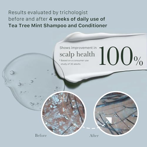Good&All Tea Tree Conditioner for Dry Itchy Scalp with Peppermint - Sulfate/Sulphate, Silicone, Paraben, Fragrance Free - Anti Frizz - 400ml - Image 3