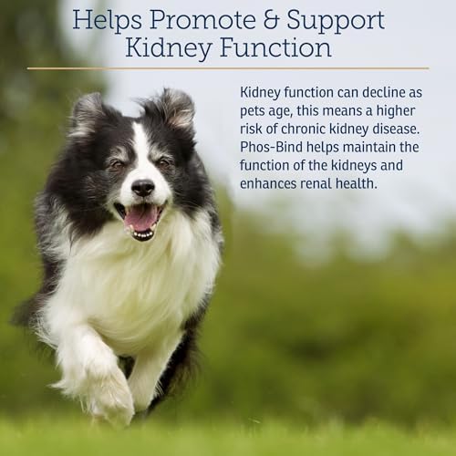 Rx Vitamins Phos-Bind — bottom and base construction detail