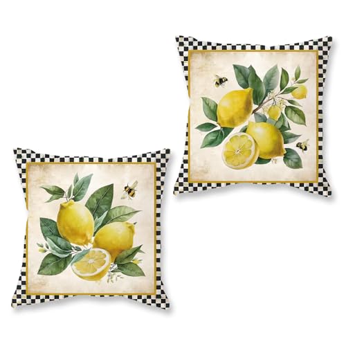 HOMFREEST Summer Pillow Covers 18x18 Inch Set of 2 Lemon 2532 Decorative Pillows Outdoor Porch Cushion Cases for Sofa Couch