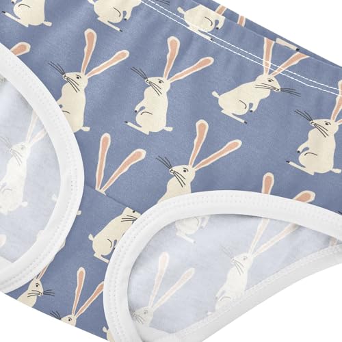 Little Girl Underwear Toddler Panties Kids Undies Rabbit Cute Soft Cotton Briefs 2T-8Y4