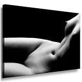 schneller & sicherer Versand Bild auf LEINWAND AKT EROTIK GIRL abstrakt verschiedene Größen wählbar!!! gerahmt fertig auf HOLZRAHMEN Kunstdruck Wandbild auf Rahmen günstiger als Ölbild Gemälde/Poster/Plakat/kein Poster oder Plakat (80x60cm)