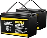 Feuruetc 12V 100Ah LiFePO4 Battery - Small RV Battery with 100A BMS, 15000+ Deep Cycles, Solar Energy Storage, Lithium Phosphate Batteries for Home Motor, Travel Trailer, Camping, Off-Grid Power（ 2PC