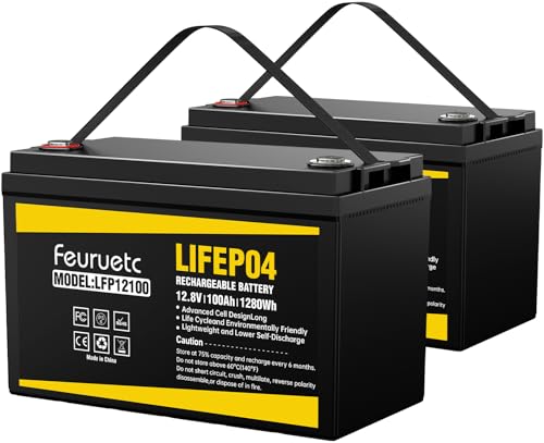 Feuruetc 12v 100ah Lifepo4 Battery - Small Rv Battery With 100a Bms 15000 Dee...