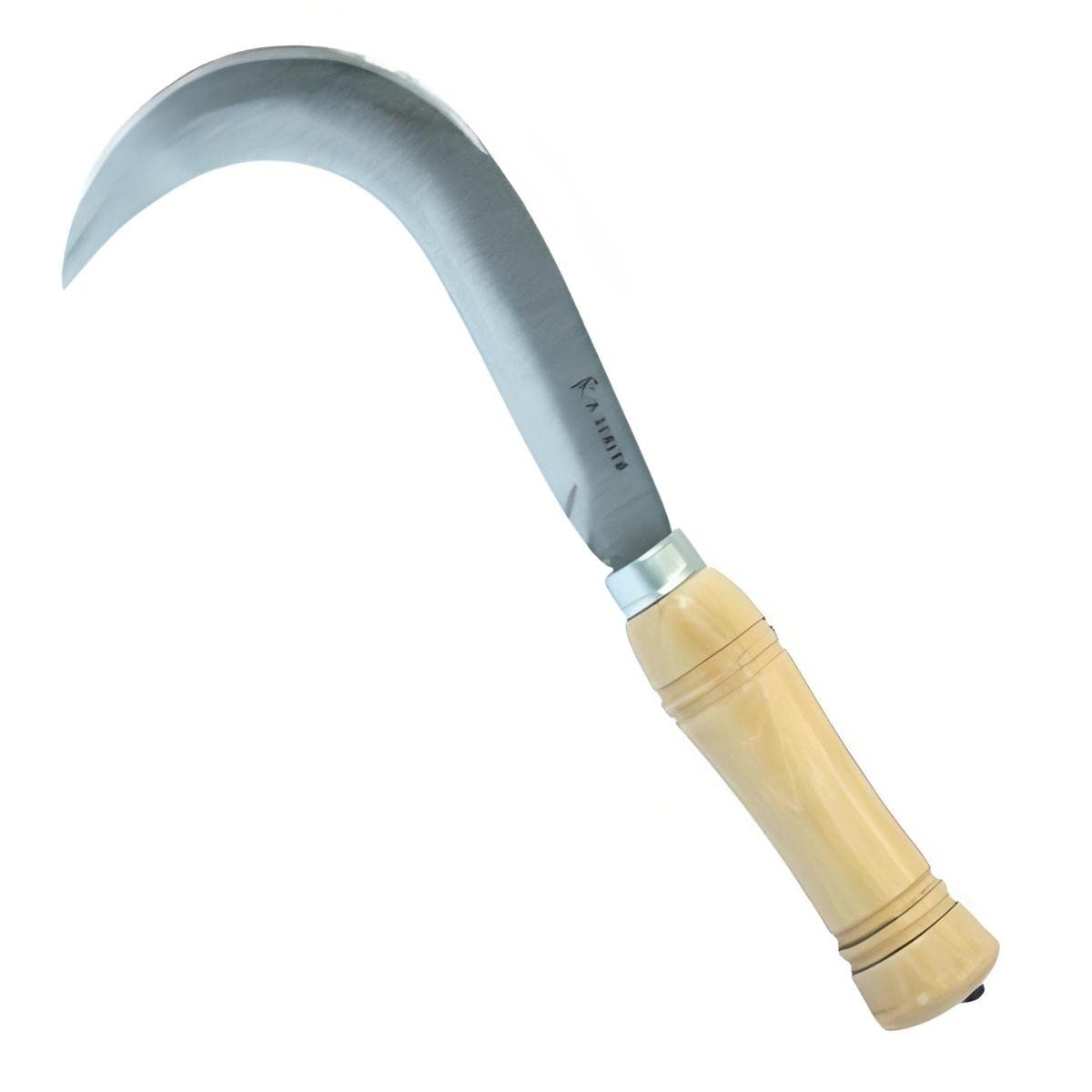 Serpette faucille pour couper la laitue en acier inoxydable - 16 x 2 cm