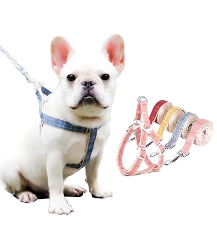 y킢ɂ҂Iz PetGround  n[lX [ht 킢  n[lX[hZbg y   U ybgpi ^ ^ L (S, u[)