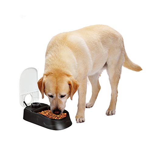 PAWISE Automatic Pet Feeder for Dogs and Cats, 1.5 Cup Food Dispenser Feeder with 48Hour Timer