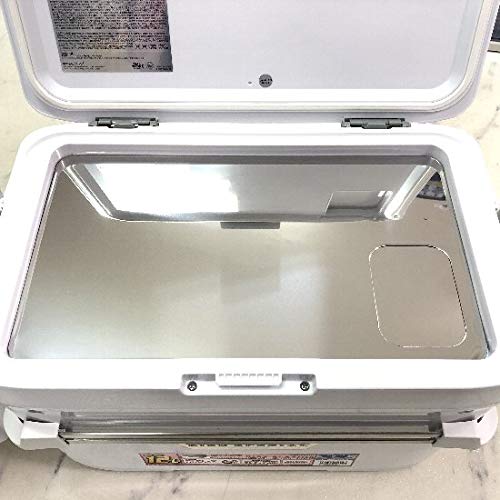 XeXN[[W V}mtBNZ120p ۗ^CviJAN4580286904002 j