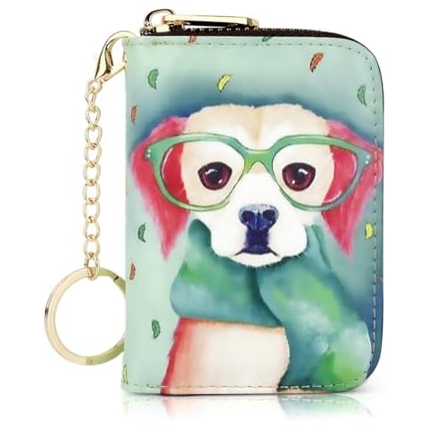 APHISON RFID Blocking Cartoon Card Holder Cover