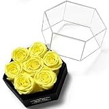 Photo Gallery kylin glory rose conservate con copertura esagonale in acrilico – 7 pezzi forever flowers, freschezza visibile, perfette per la mamma e san valentino regali (giallo)