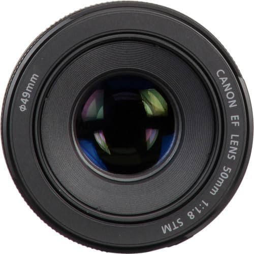 Canon EF 50mm f/1.8 STM Lens on camera