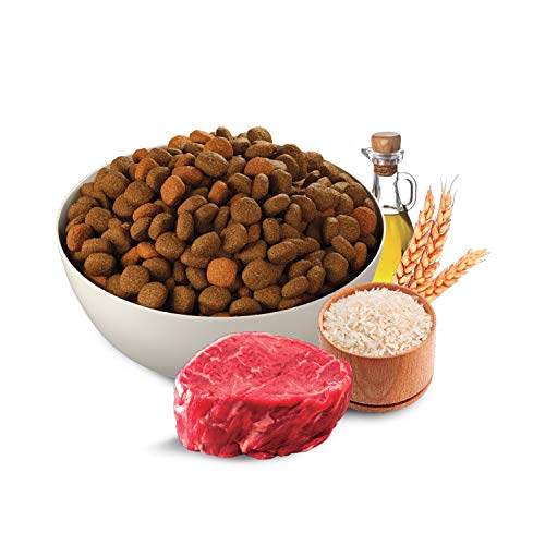 Ração Baw Waw para cães sabor Carne 6kg