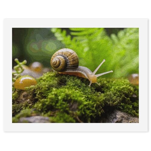 Peinture par numéros adulte débutant escargot toile anti stress décoration DIY
